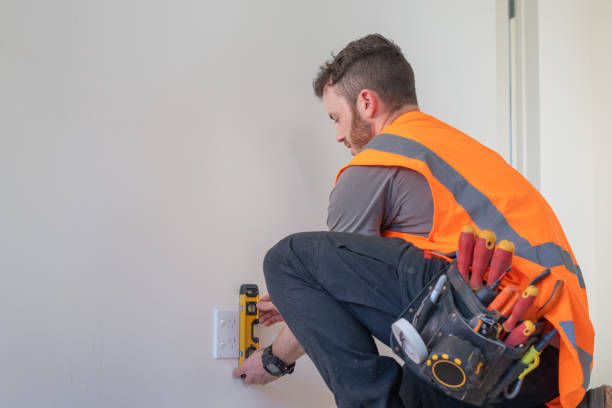 Best Generator Installation Services  in Montour Falls, NY